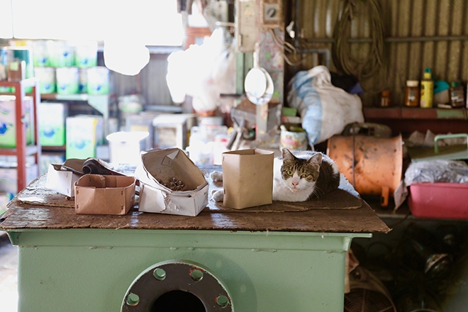 05_1W3A1309.jpg?mtime=20180927113854#asset:4627503