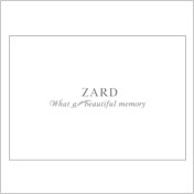 ZARD | "What a beautiful memory 2007" パンフレット