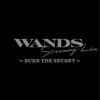 WANDS | WANDS Tシャツ【黒】