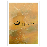 AKIHIDE | Amber ART CARD BOOK