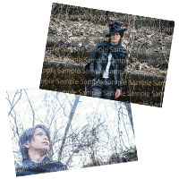 AKIHIDE | 桜の森の満開の下で ふるさと葉書 -Black-
