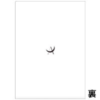 AKIHIDE | NAKED MOON クリアファイルセット