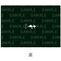 AKIHIDE | クリアファイルセット
