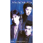 WANDS | もっと強く抱きしめたなら