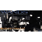 WANDS | 愛を語るより口づけをかわそう