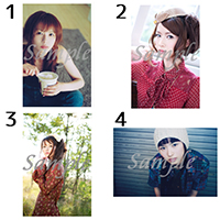 GARNET CROW | ポストカード20枚全部セット