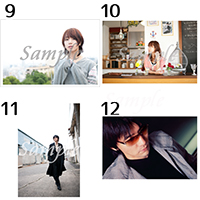 GARNET CROW | ポストカード20枚全部セット