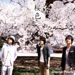Chicago Poodle | 桜色【通常盤】