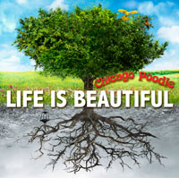 Chicago Poodle | Life is Beautiful