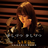 SARD UNDERGROUND | 少しづつ 少しづつ【初回限定盤】