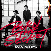 WANDS | BURN THE SECRET【通常盤】