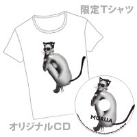Brand Collectionシリーズ | MURUA GIFT【数量限定販売】