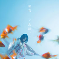 蓮花 | 金魚涙。