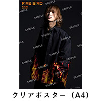 大平峻也 | FIRE BIRD【通常盤】