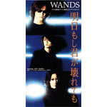 WANDS | 明日もし君が壊れても
