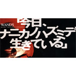 WANDS | 「今日、ナニカノハズミデ 生きている」