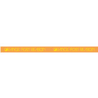 ORANGE POST REASON | OPR ラバーバンド 【オレンジ】