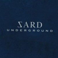 SARD UNDERGROUND | ネイビーTシャツ