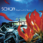 SCHON | Useful will be Useless