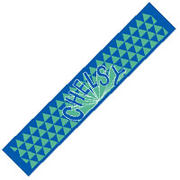 Chelsy | Chelsy 2017 マフラータオル