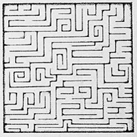 滴草由実 | MAZE