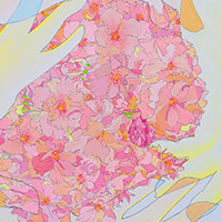 滴草由実 | さくらのぬくもり
