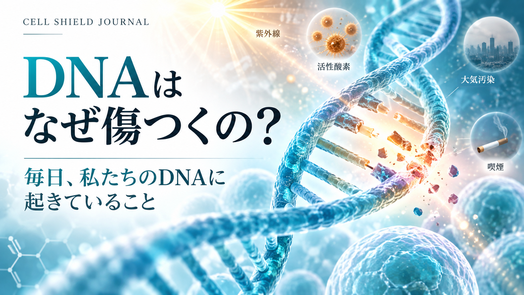 DNAはなぜ傷つくの？毎日私たちのDNAに起きていること