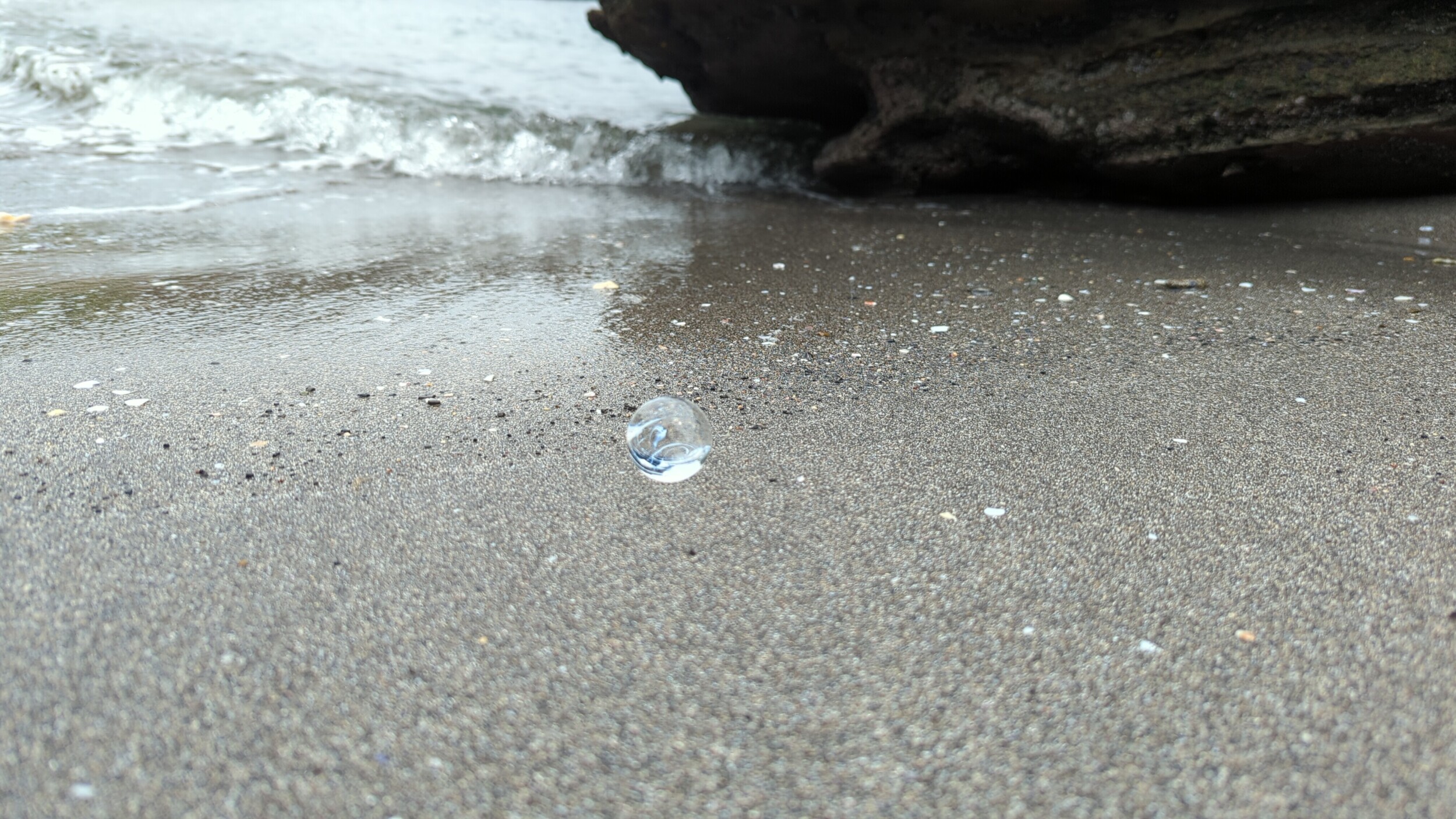 海での一コマ。