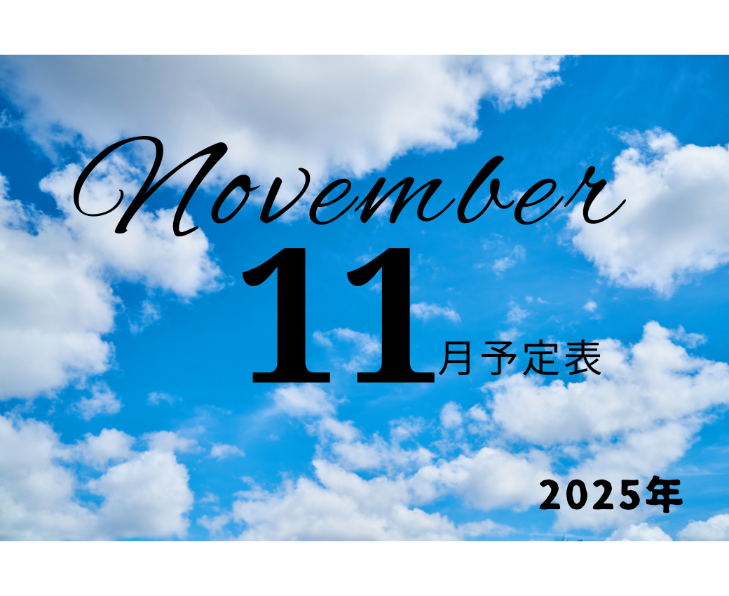 11月スケジュール