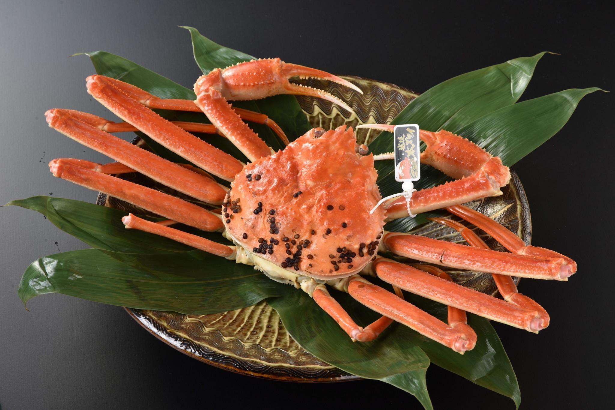 【寺泊観光のベストシーズン】春夏秋冬いつがおすすめ？海鮮・海水浴・紅葉・冬の味覚を徹底紹介