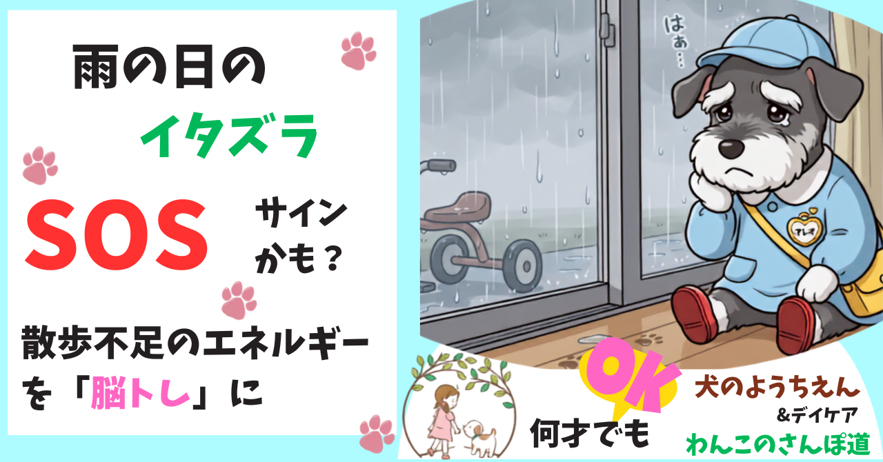 雨の日のイタズラSOSのサイン？