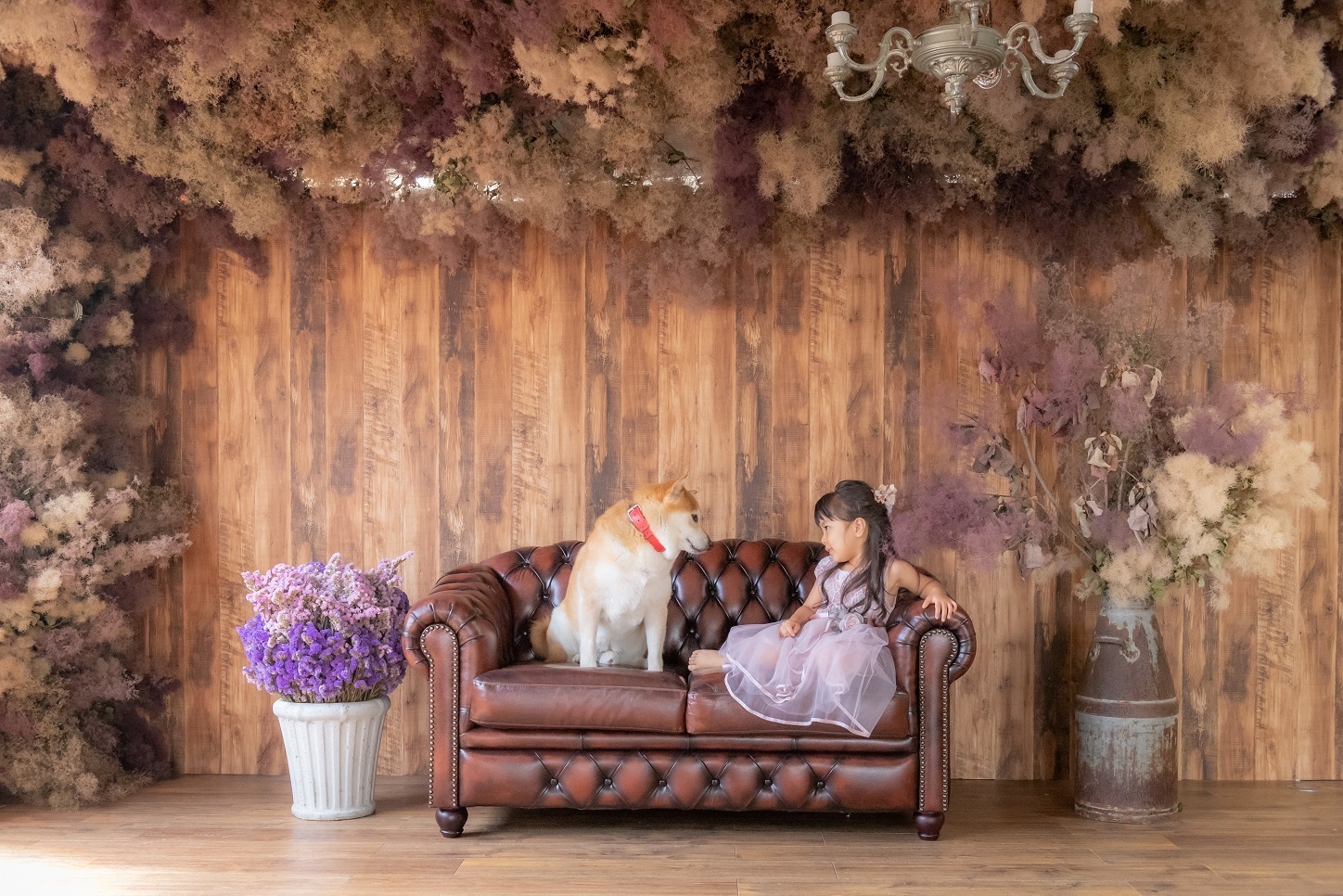 Photo Studio Rin ができるまで