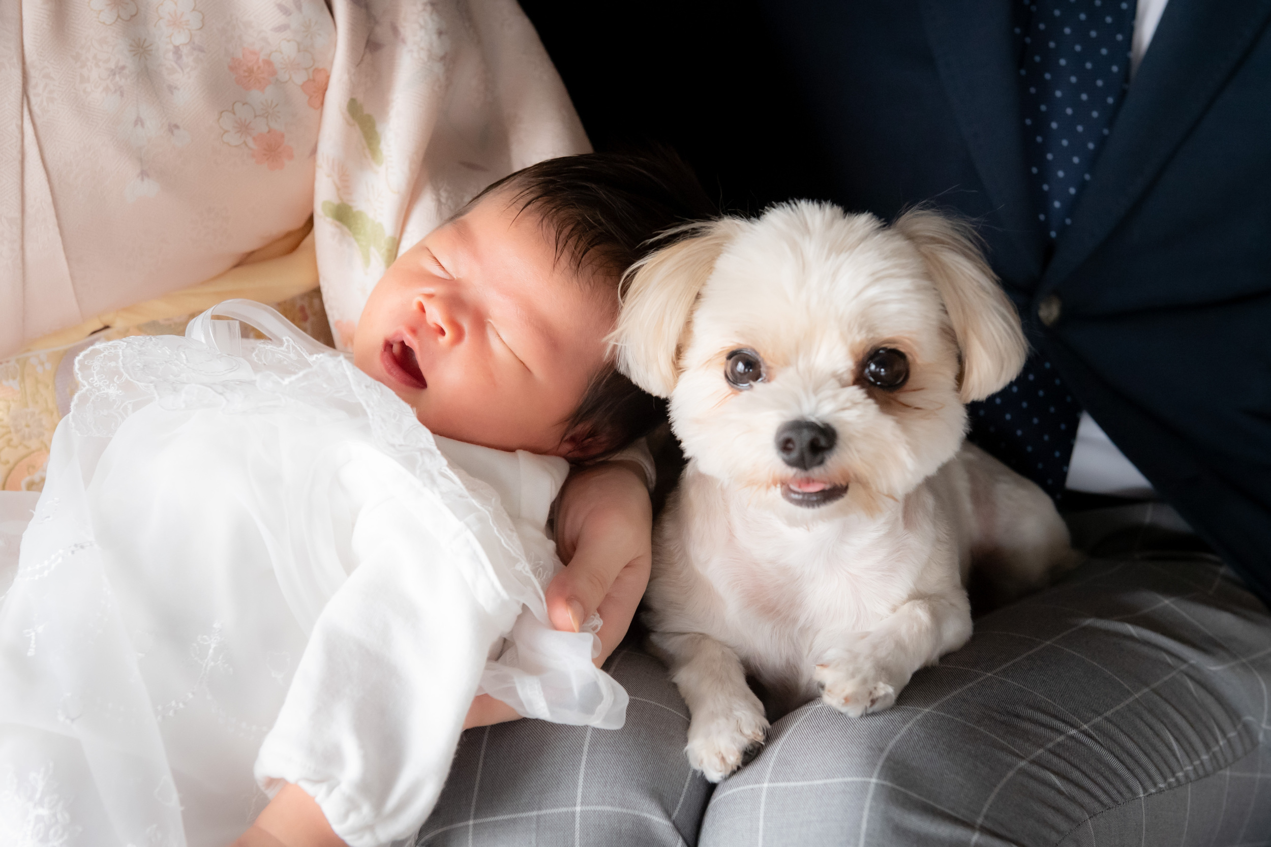 ニューボーンフォト、お宮参りの写真、ペットも一緒に残したい方へ