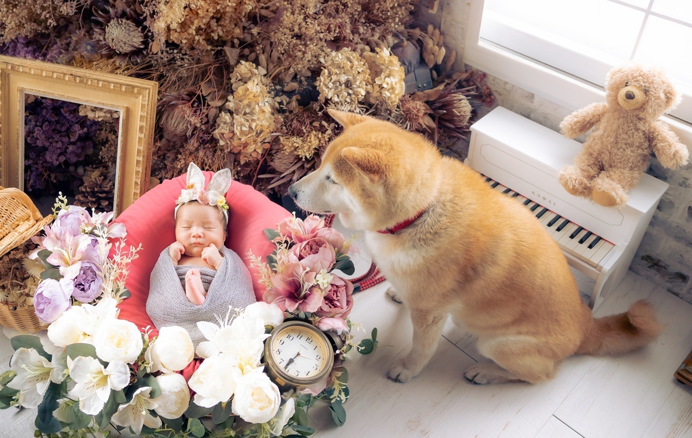 犬と赤ちゃんのニューボーンフォト|「ペットも家族」だからRinは一緒に残す