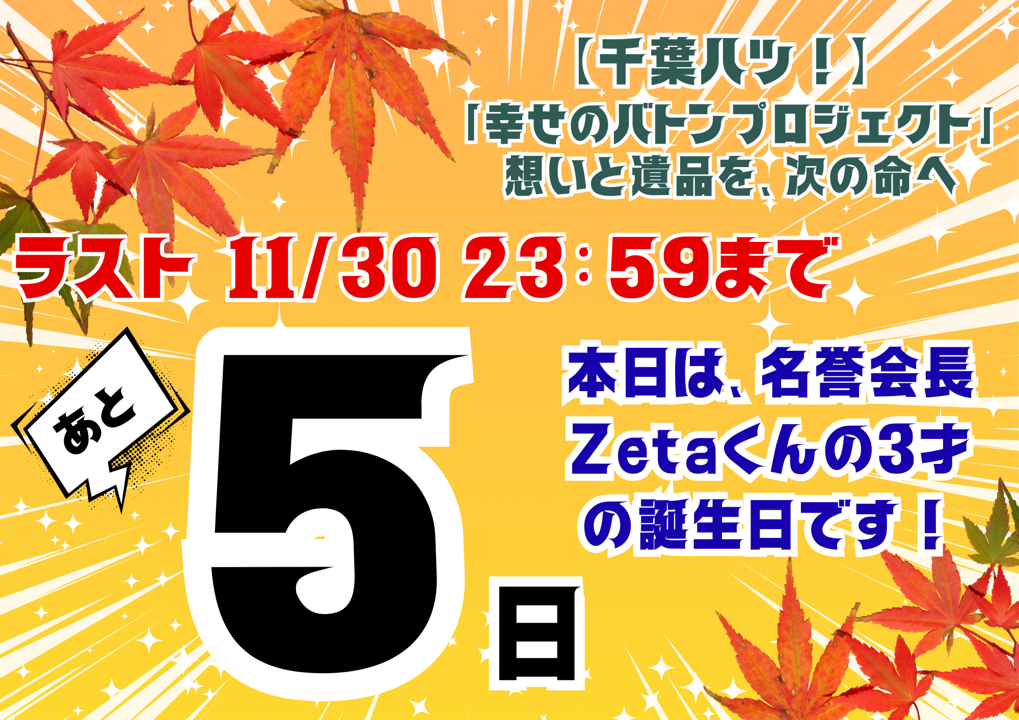 【今日は特別な日🎂】名誉会長Zeta（ゼータ）3歳になりました！🎉
