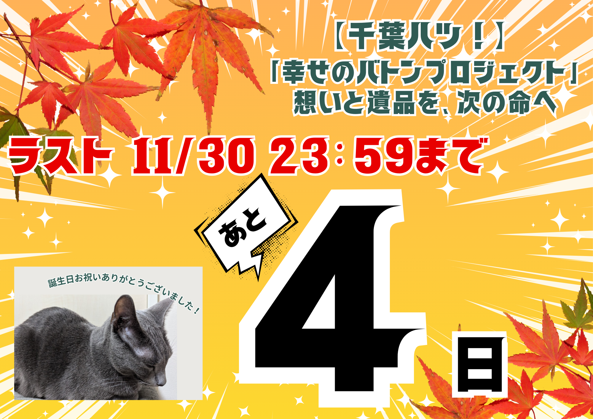 【目標50%達成！】皆様の温かい応援が、私たちの力になります🕊️