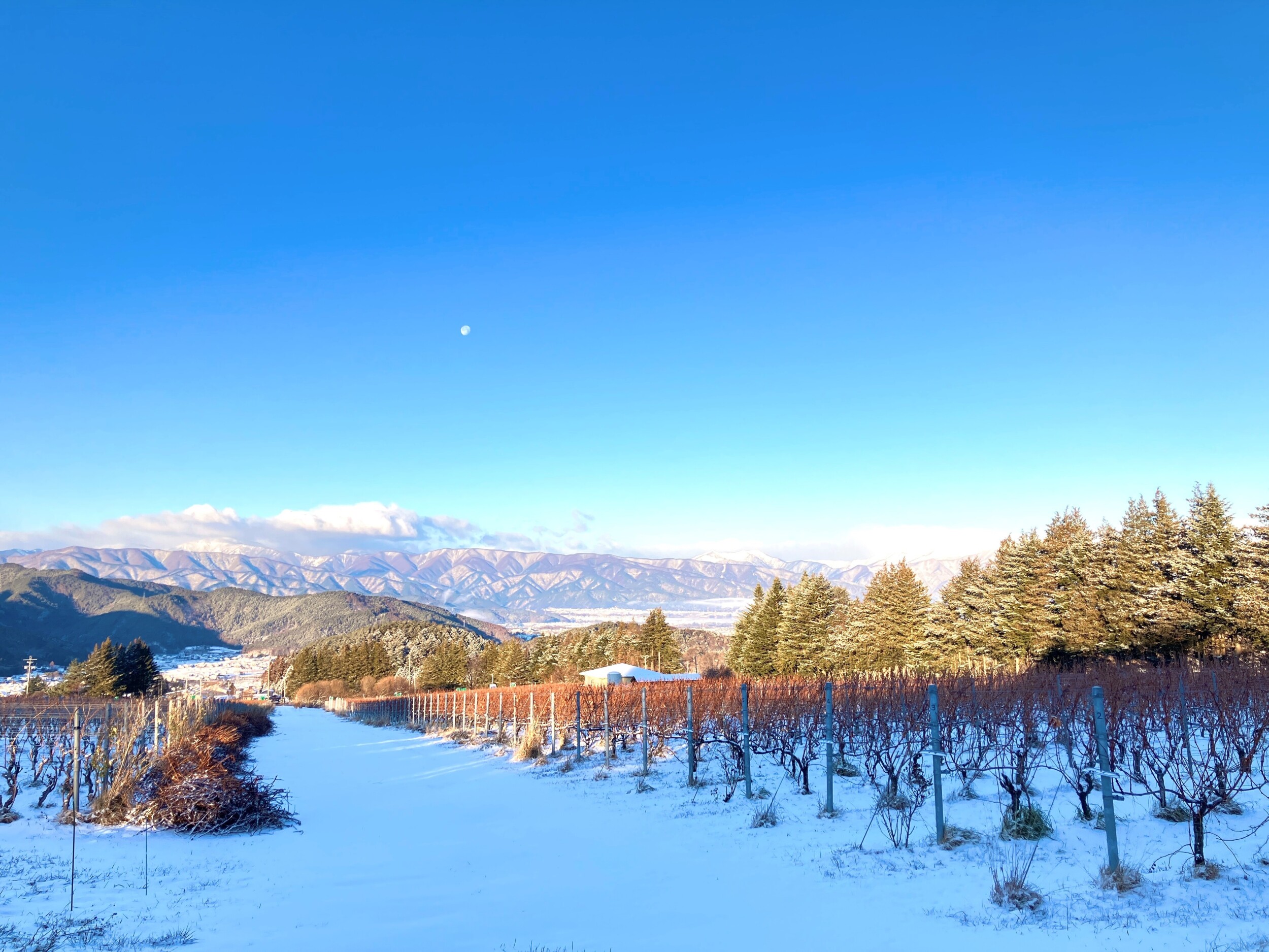 ショップの営業につきまして