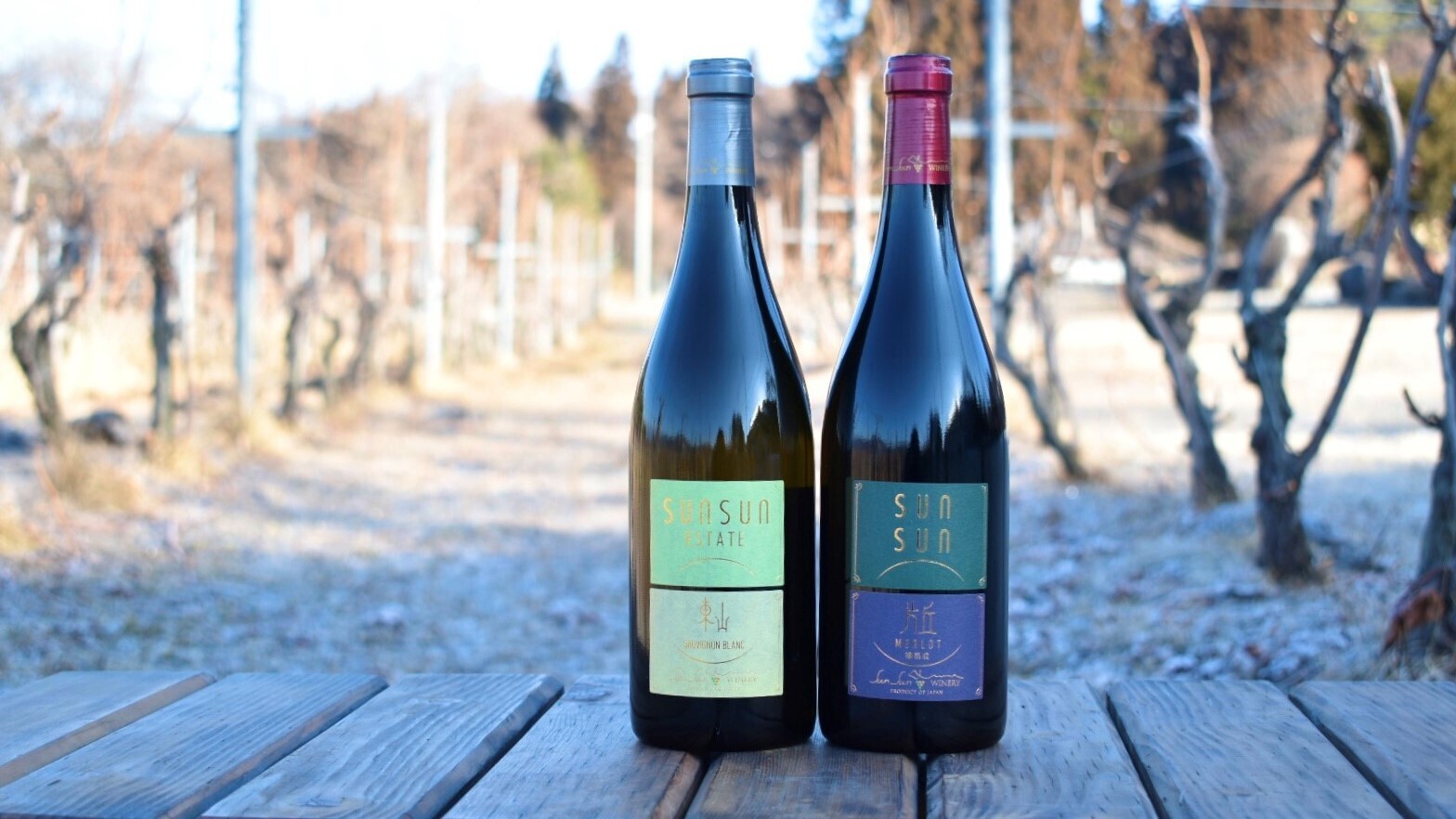 新商品のご案内