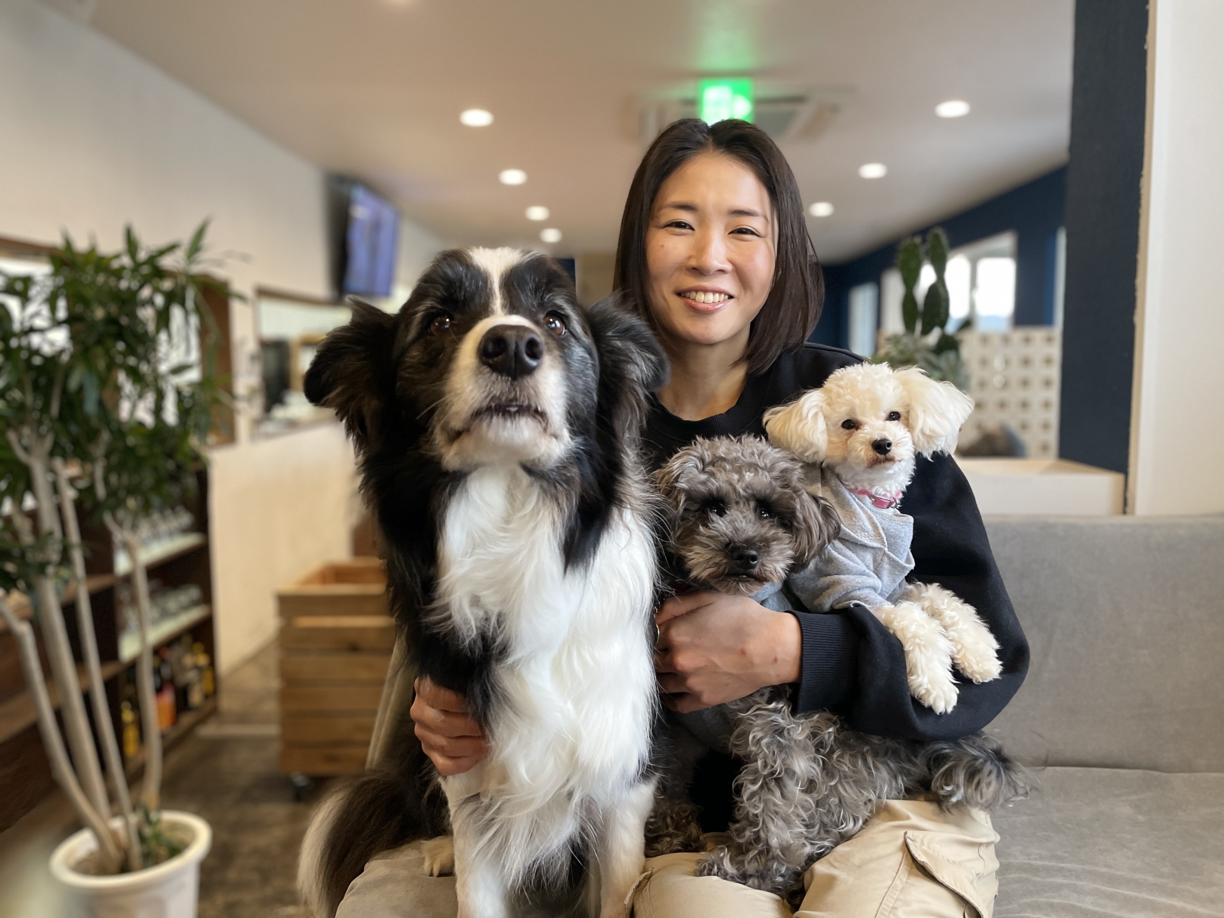 ドッグトレーナー加藤朝子先生を紹介♪