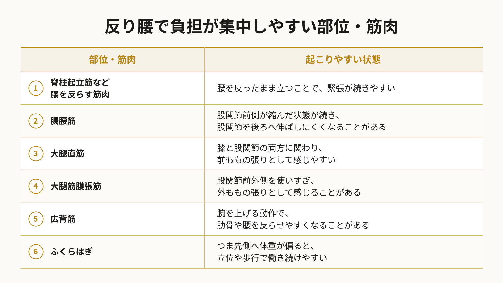 反り腰で負担が集中しやすい脊柱起立筋、腸腰筋、大腿直筋、大腿筋膜張筋、広背筋、ふくらはぎと、起こりやすい状態をまとめた表