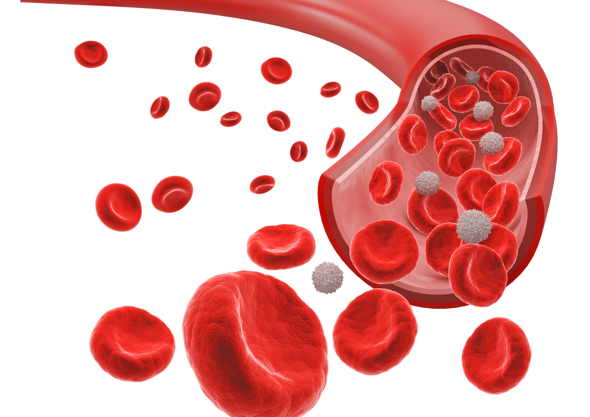 見た目の若さは血管で決まる？年齢と毛細血管の意外な関係。