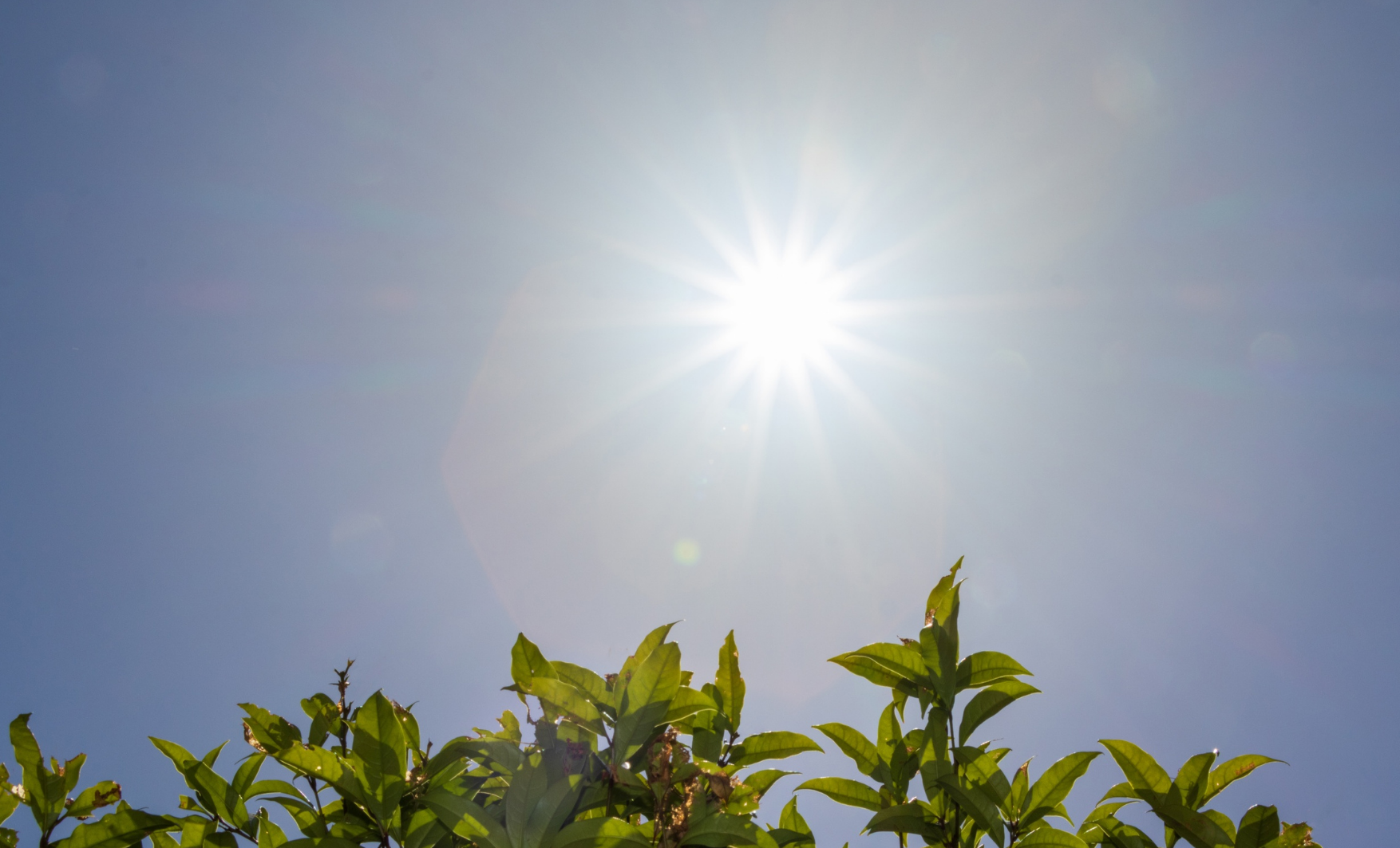 いよいよ夏本番☀️ 夏場に効率よく体を整えるトレーニングとは？