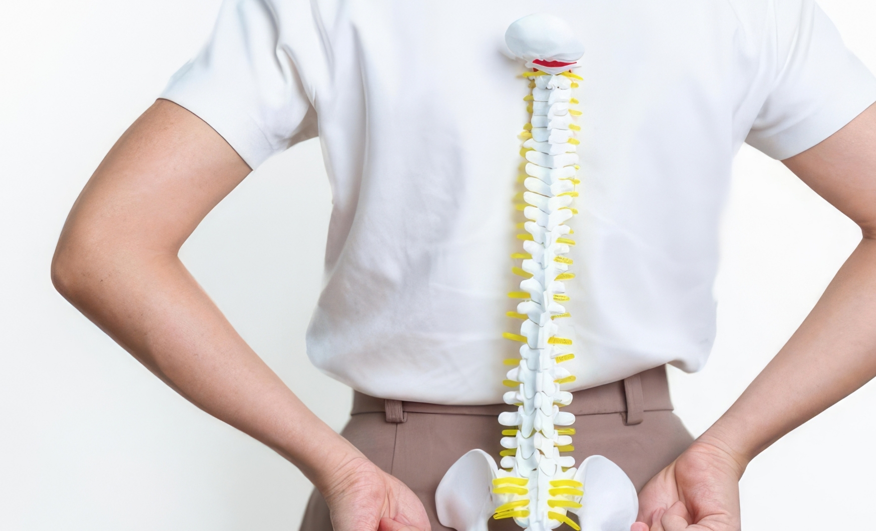 背骨、最近動かしていますか?🧘♀️