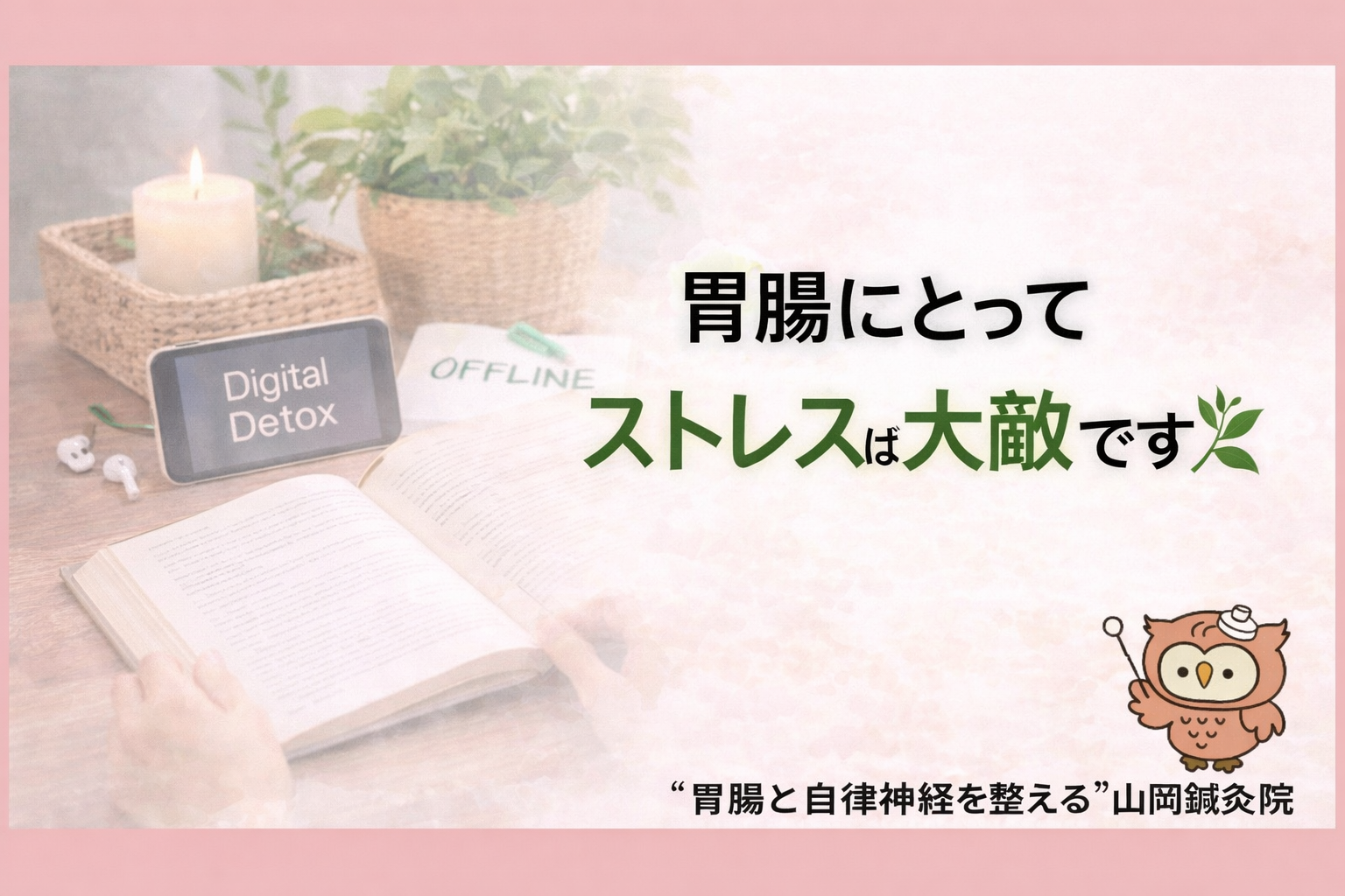 【ととのえ日記133】  胃腸にとってストレスは大敵です🌿