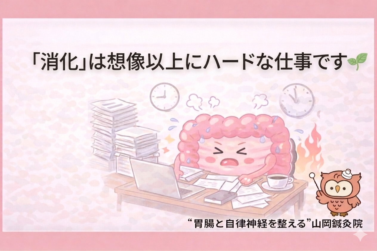 【ととのえ日記140】  「消化」は想像以上にハードな仕事です🌿