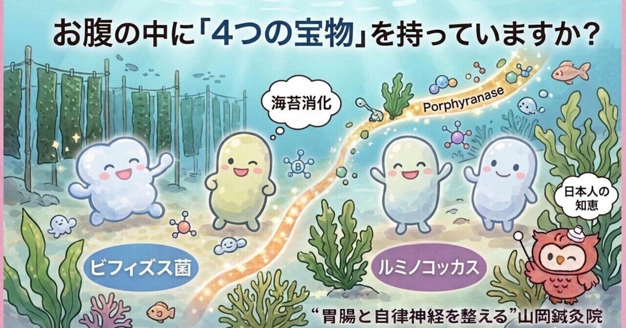 【ととのえ日記144】日本人の腸に宿る「4つの宝物」とは？腸内細菌・和食・長寿の秘密