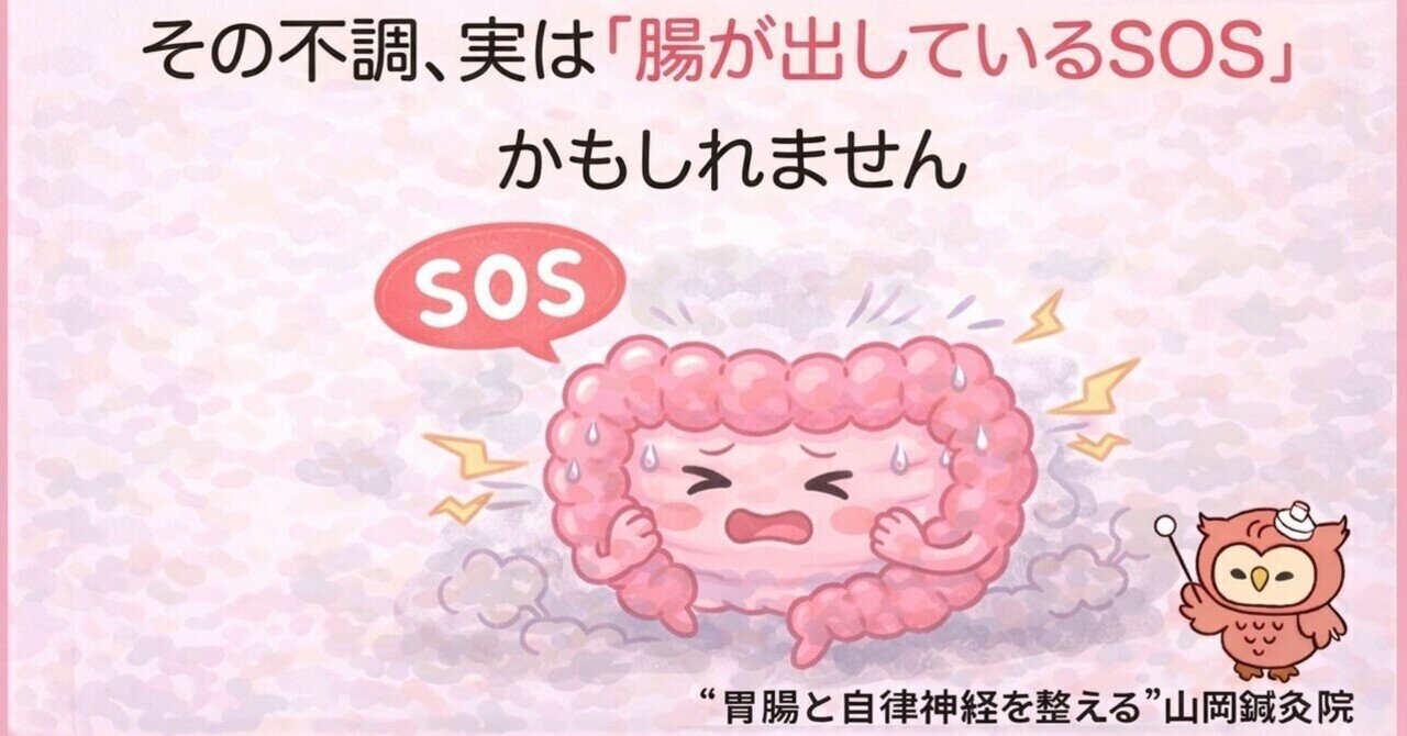 【ととのえ日記147】その不調は「腸が出しているSOS」かもしれません｜腸活・胃腸・自律神経を整える鍼灸院