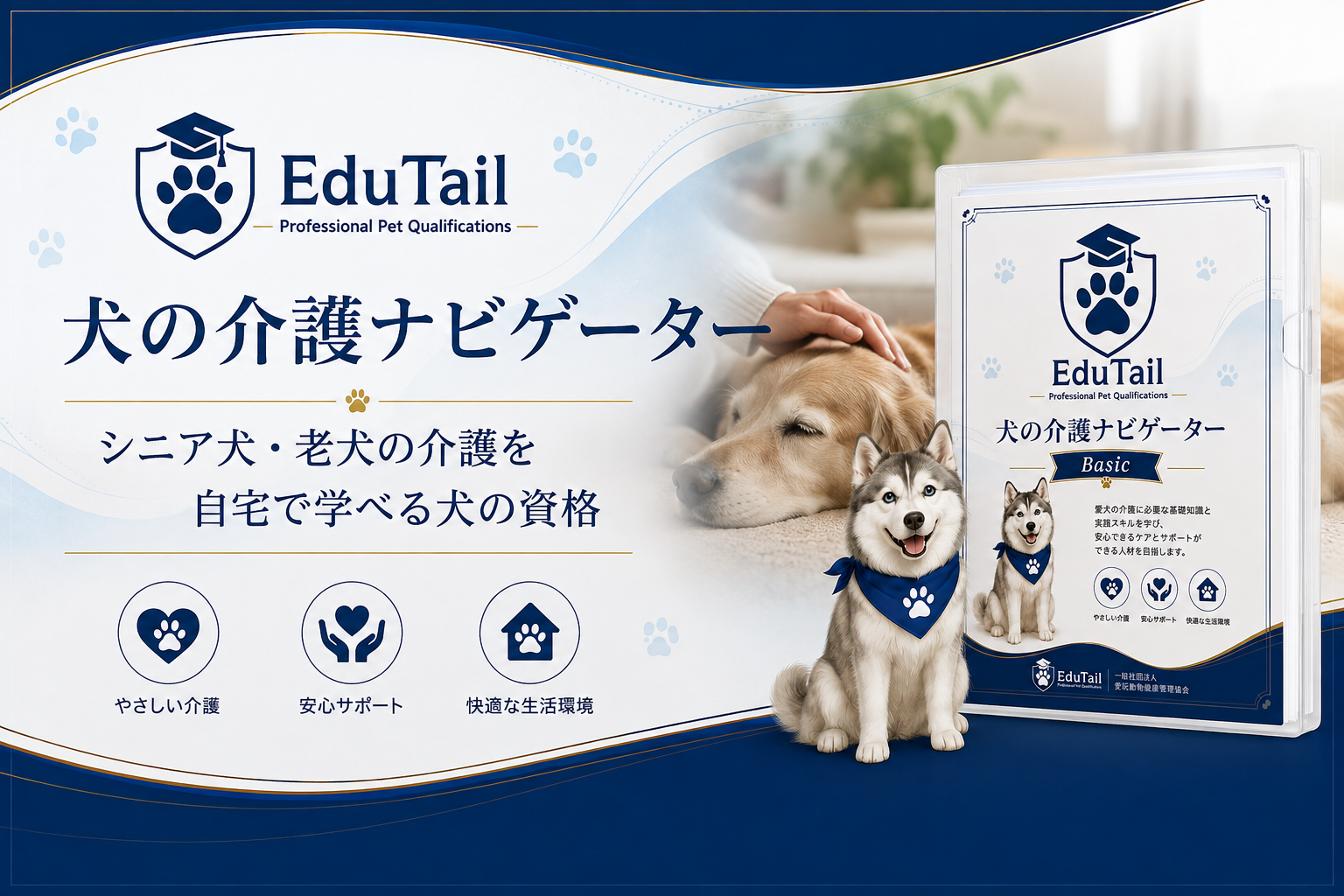犬の介護ナビゲーター｜シニア犬・老犬の介護を自宅で学べる犬の資格