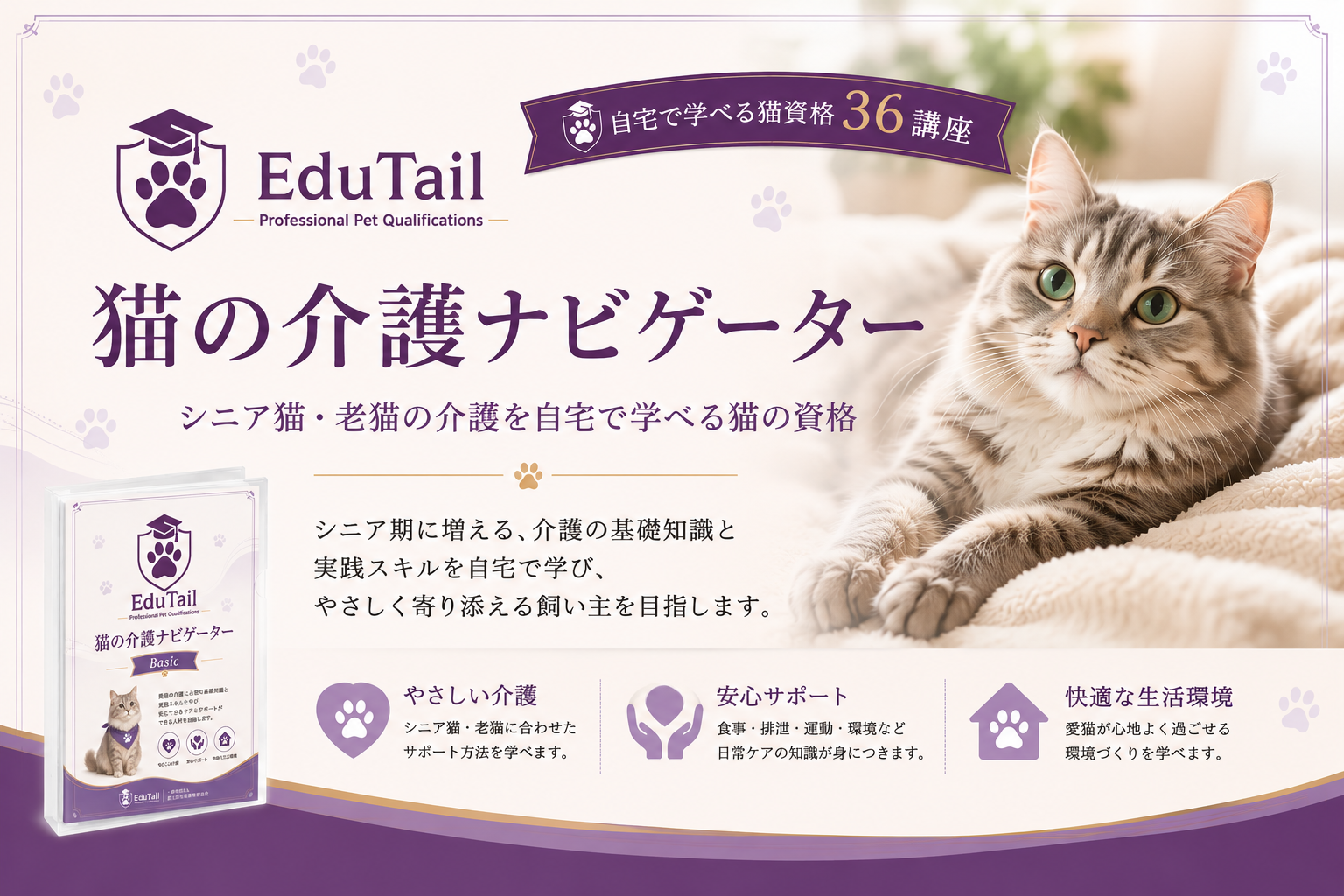 猫の介護ナビゲーター｜シニア猫・老猫の介護を自宅で学べる猫の資格
