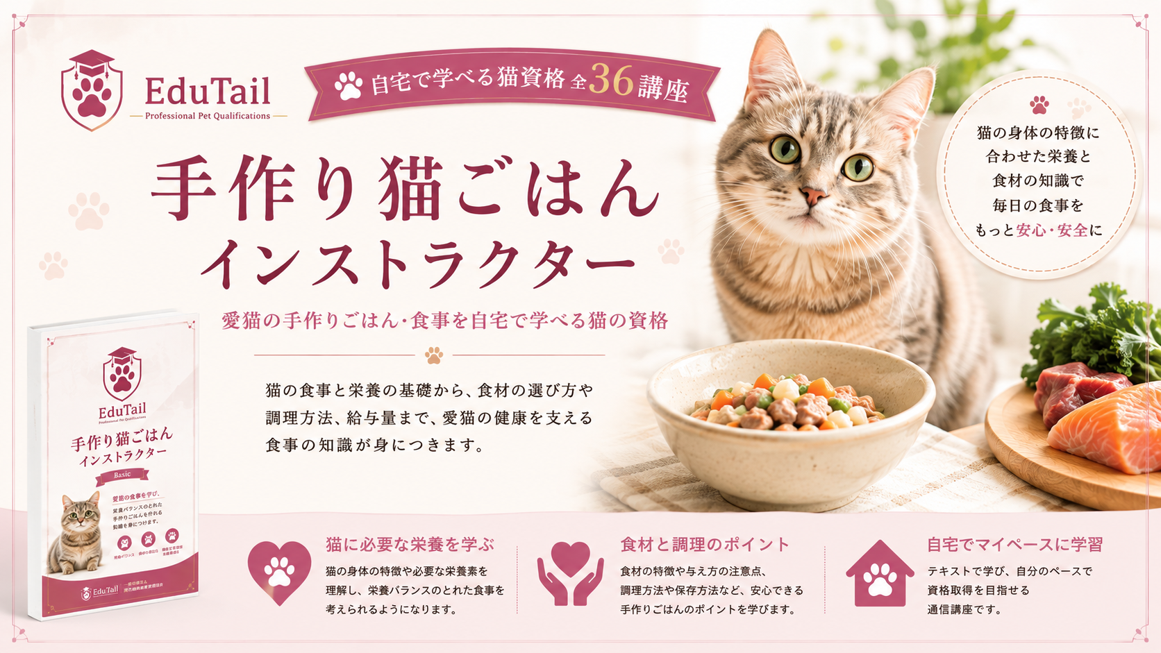 手作り猫ごはんインストラクター｜愛猫の手作りごはん・食事を自宅で学べる猫の資格